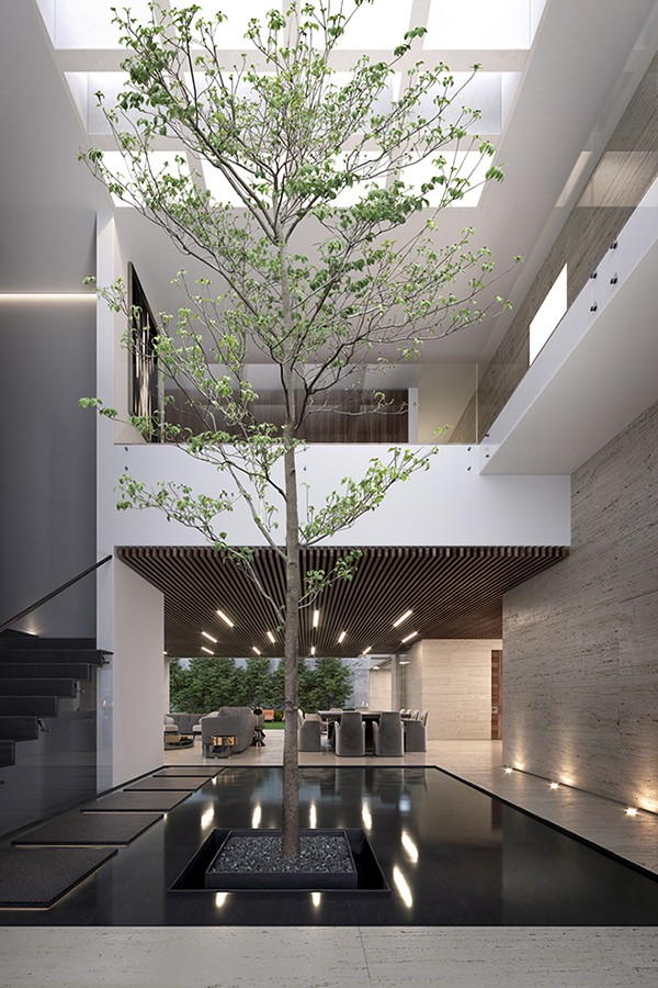 Modern Architect – Casa CC Modern Architect – Casa CC