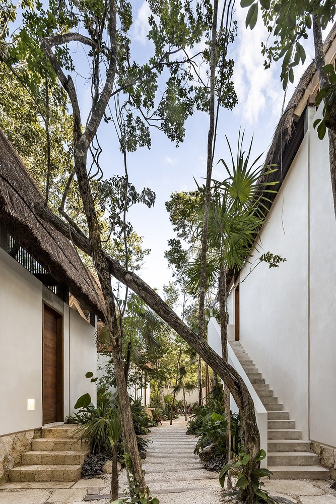 Jungle Keva - Modern Architect Magazine Jungle Keva - Modern Architect Magazine