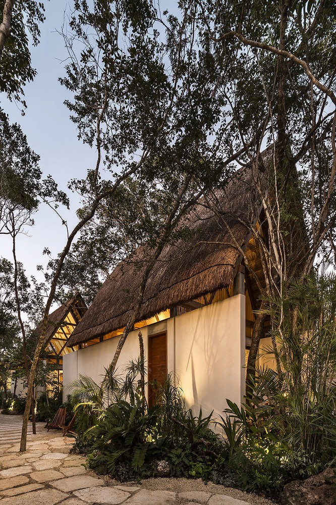 Jungle Keva - Modern Architect Magazine Jungle Keva - Modern Architect Magazine